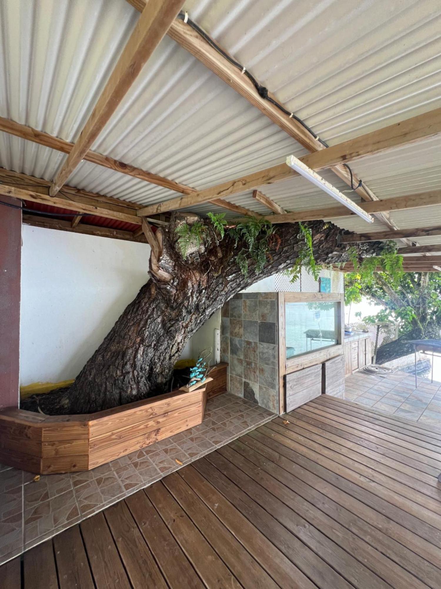 Fare Tetahora Villa Tevaitoa Ngoại thất bức ảnh